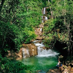 5d/4n Vida en la Selva Central