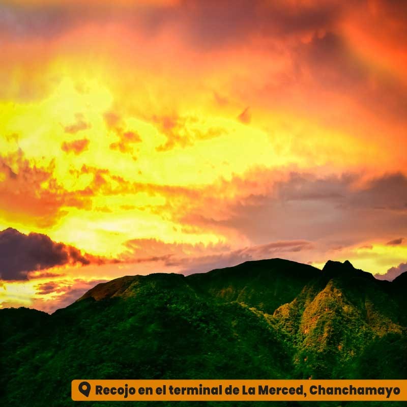3d/2n Selva Central Tradicional: Chanchamayo + Oxapampa