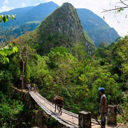 5d/4n Selva y Sierra Inmortal