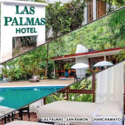 Las Palmas (ex cocos)