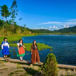 5d/4n Selva Amada