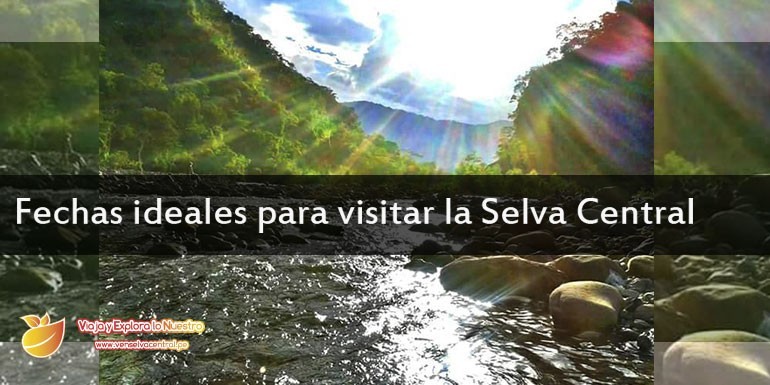 ¿En qué fechas puedo visitar la Selva Central? Conoce como es el clima en Chanchamayo, Oxapampa y Satipo.