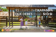 ¡11 lugares en Oxapampa, que debes visitar, SI O SI!