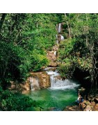Tour x día desde Chanchamayo