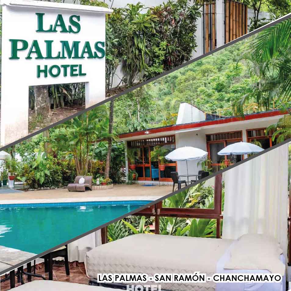 Las Palmas (ex cocos) san ramon Chanchamayo