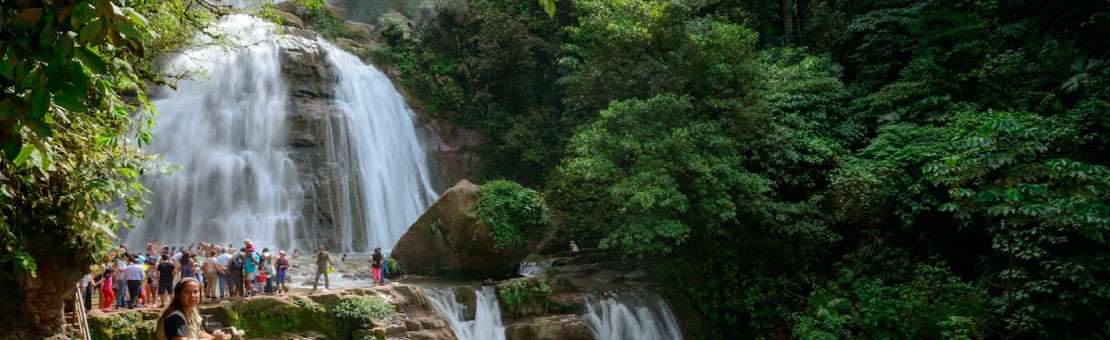 Viaja y disfruta de la Selva Central